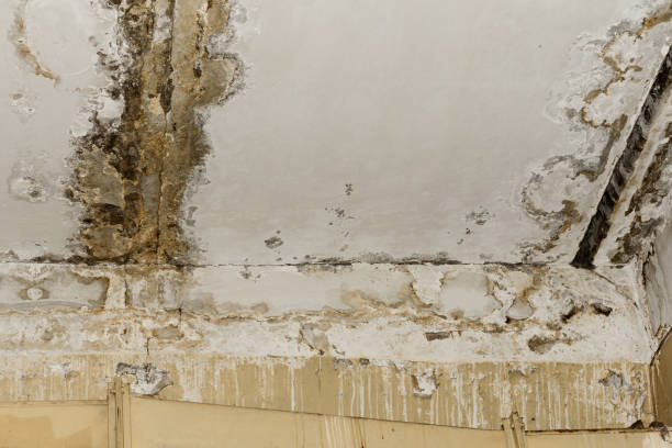 Best Emergency water damage restoration  in USA